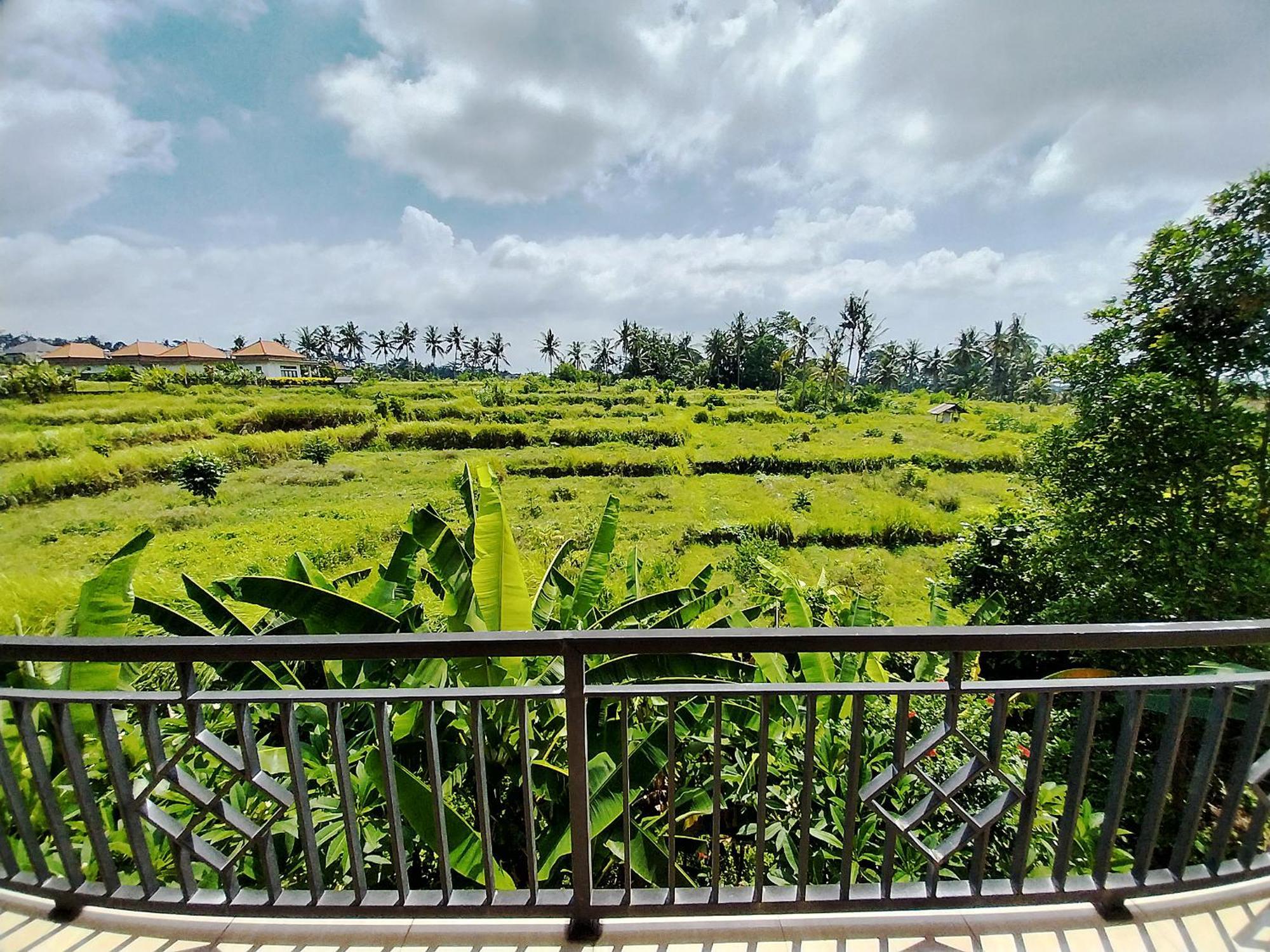 Puri Prana Guest House 우붓 외부 사진