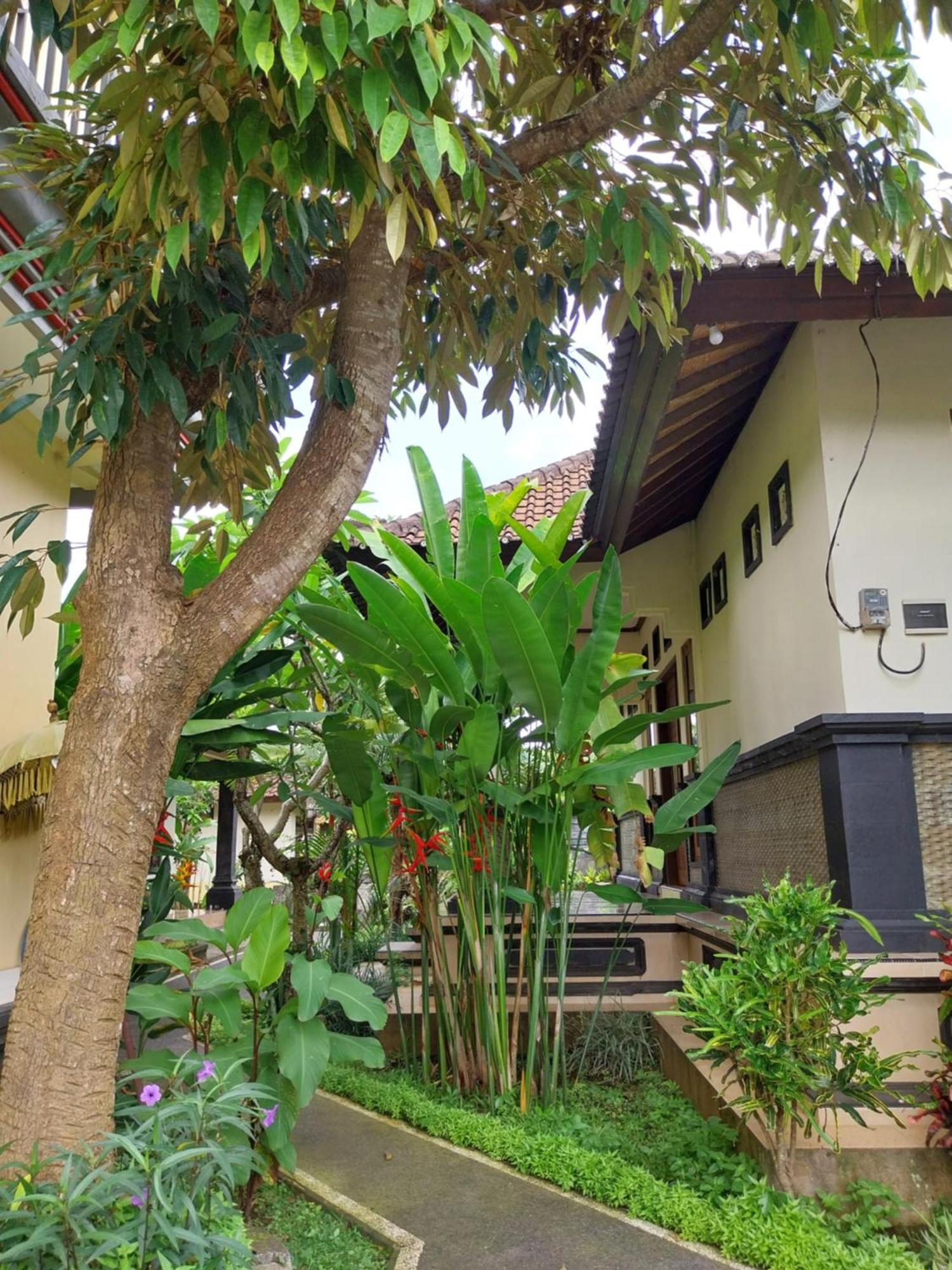 Puri Prana Guest House 우붓 외부 사진